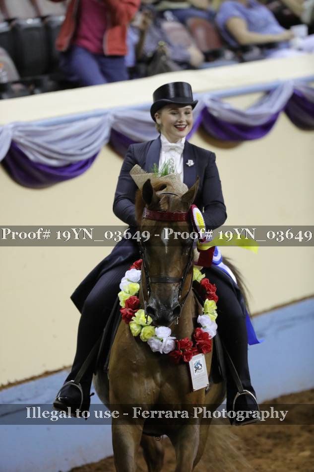 Proof 19YN_03649