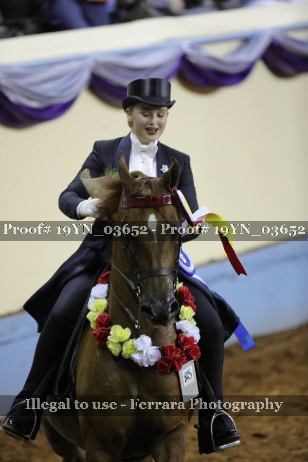 Proof 19YN_03652