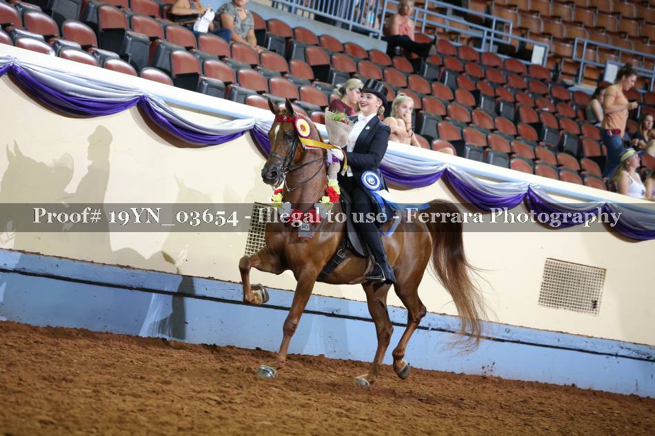 Proof 19YN_03654