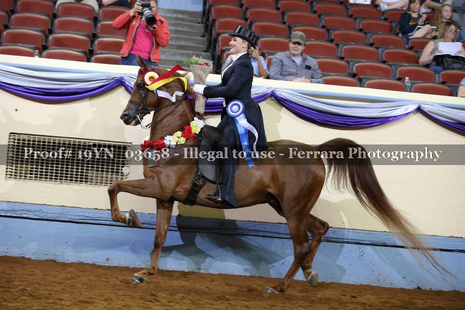 Proof 19YN_03658