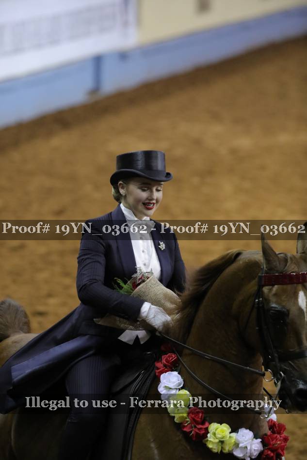 Proof 19YN_03662