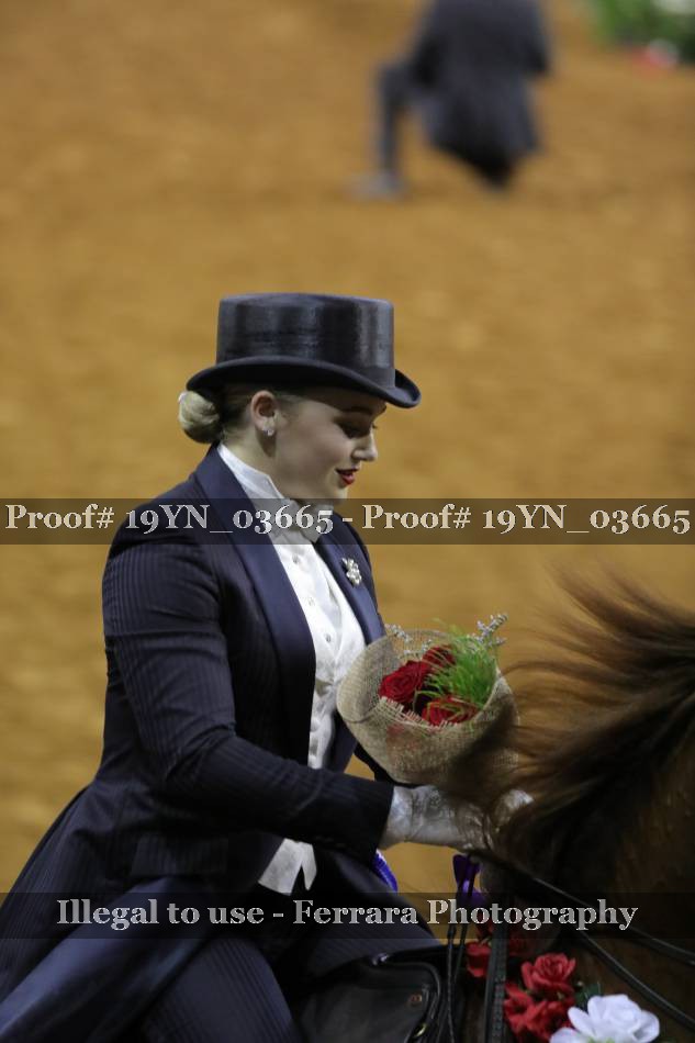 Proof 19YN_03665