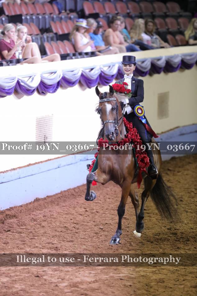 Proof 19YN_03667