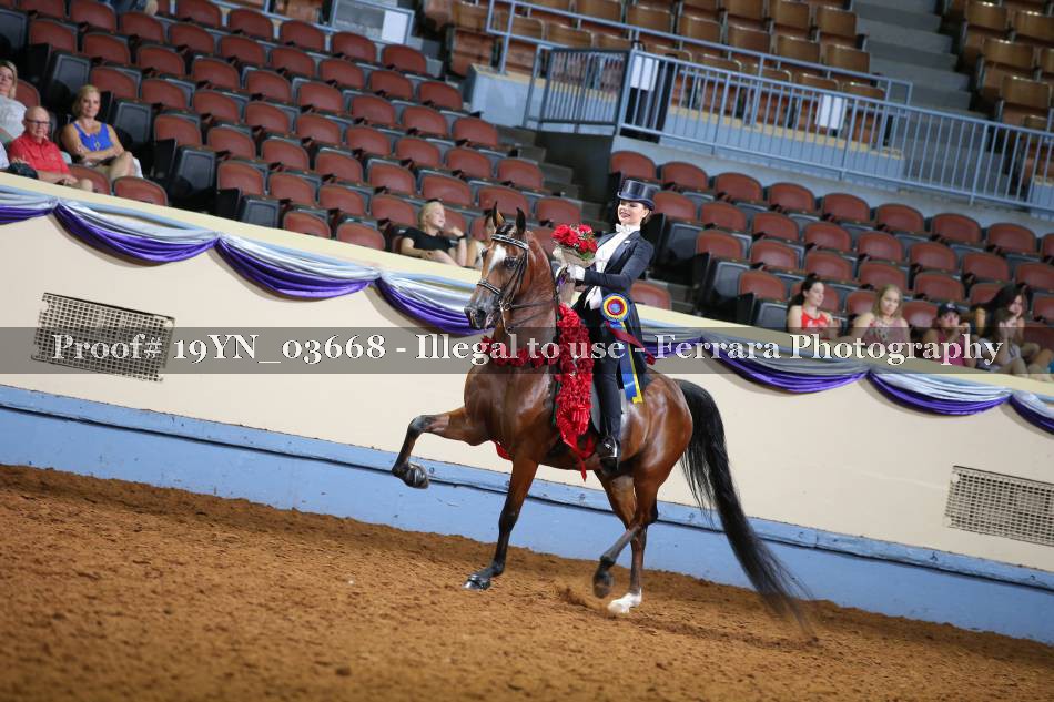 Proof 19YN_03668