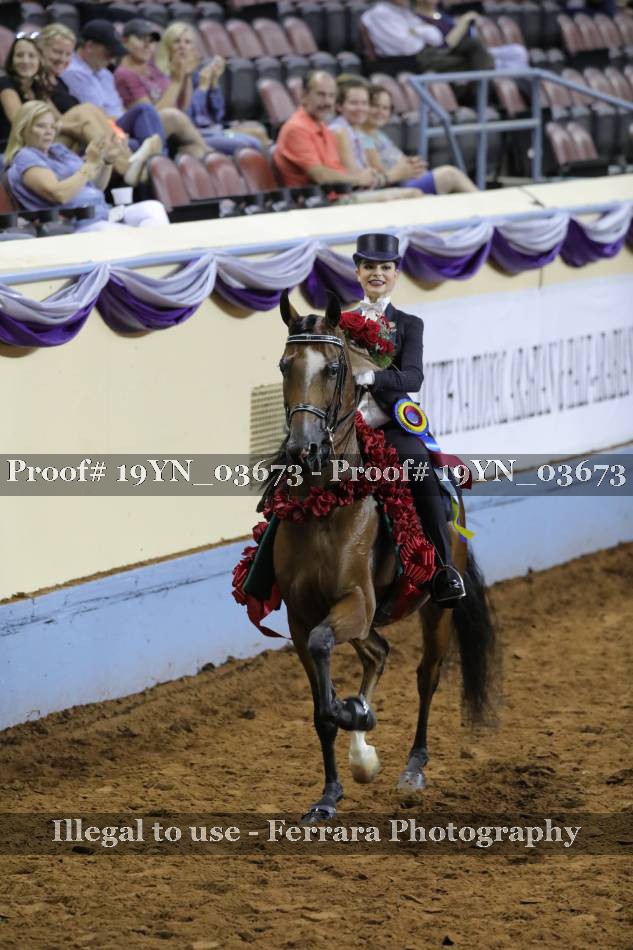 Proof 19YN_03673