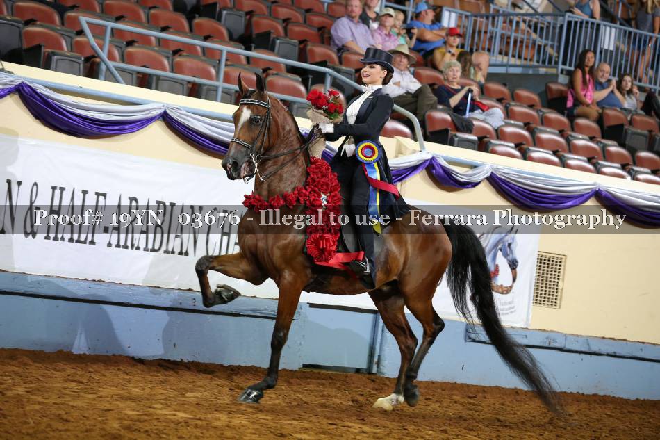 Proof 19YN_03676