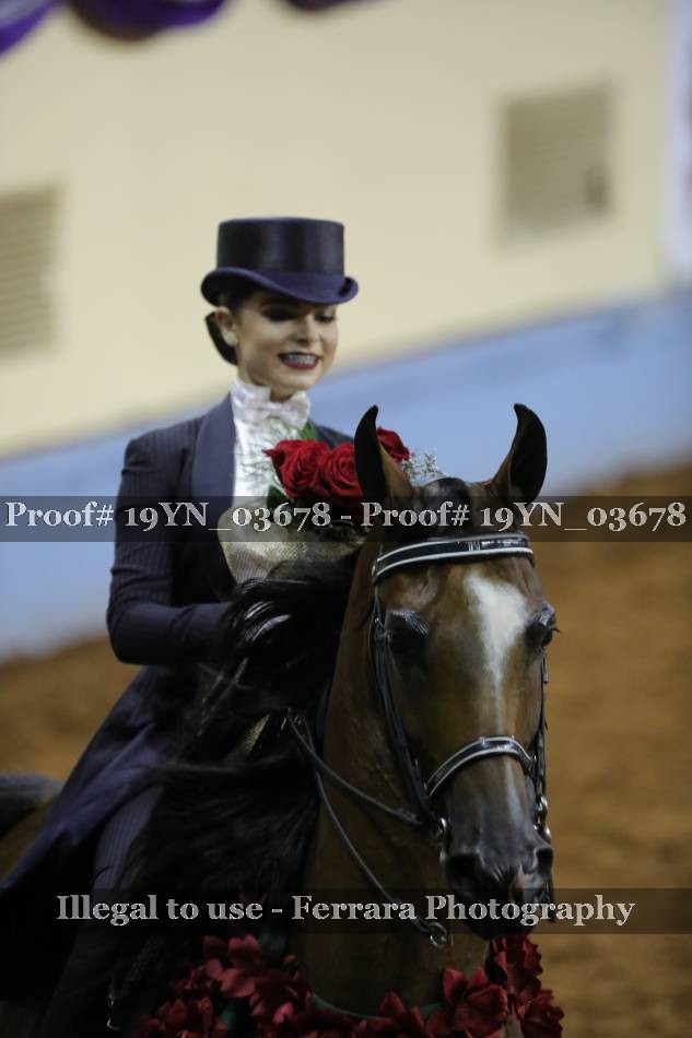 Proof 19YN_03678