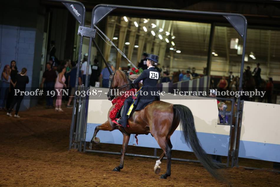 Proof 19YN_03687
