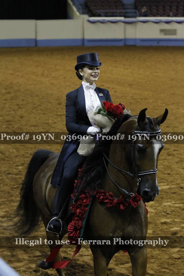 Proof 19YN_03690