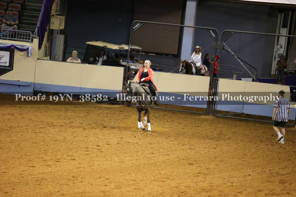 Proof 19YN_38582