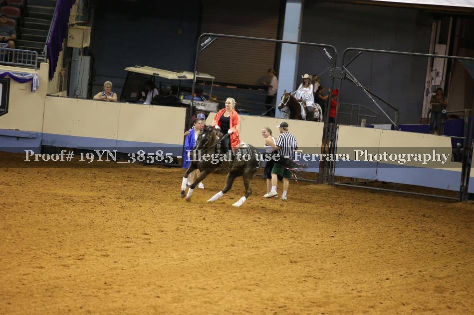 Proof 19YN_38585