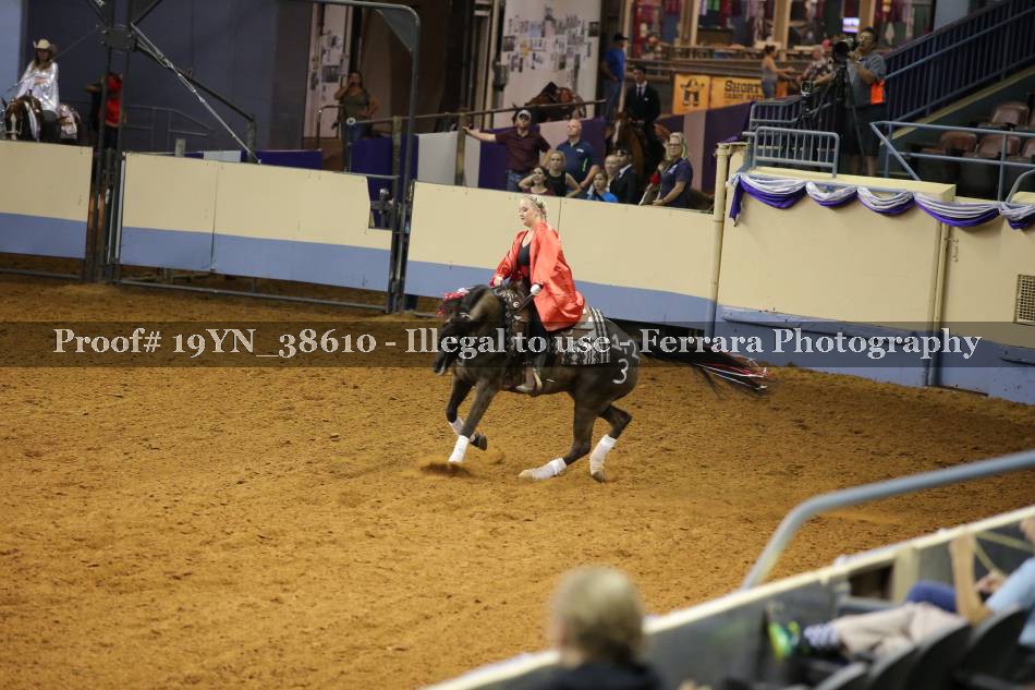 Proof 19YN_38610