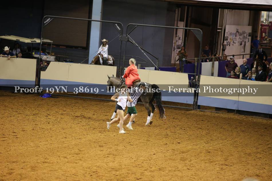 Proof 19YN_38619