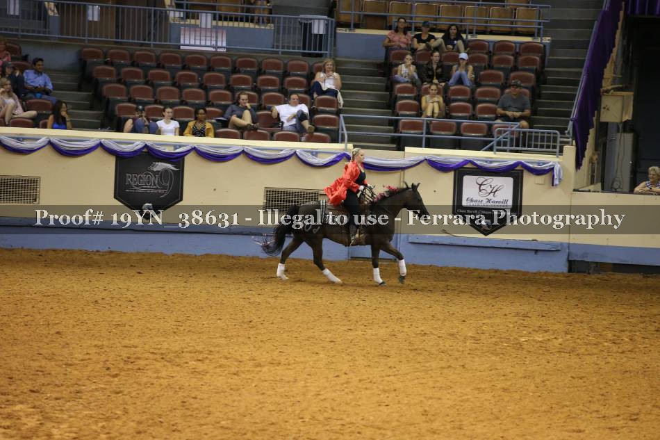 Proof 19YN_38631