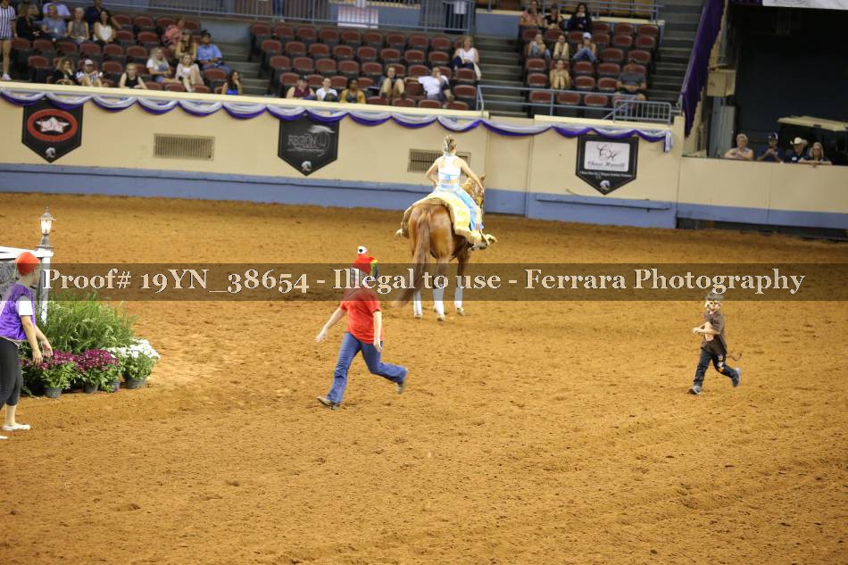 Proof 19YN_38654