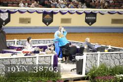 19YN_38703 proof