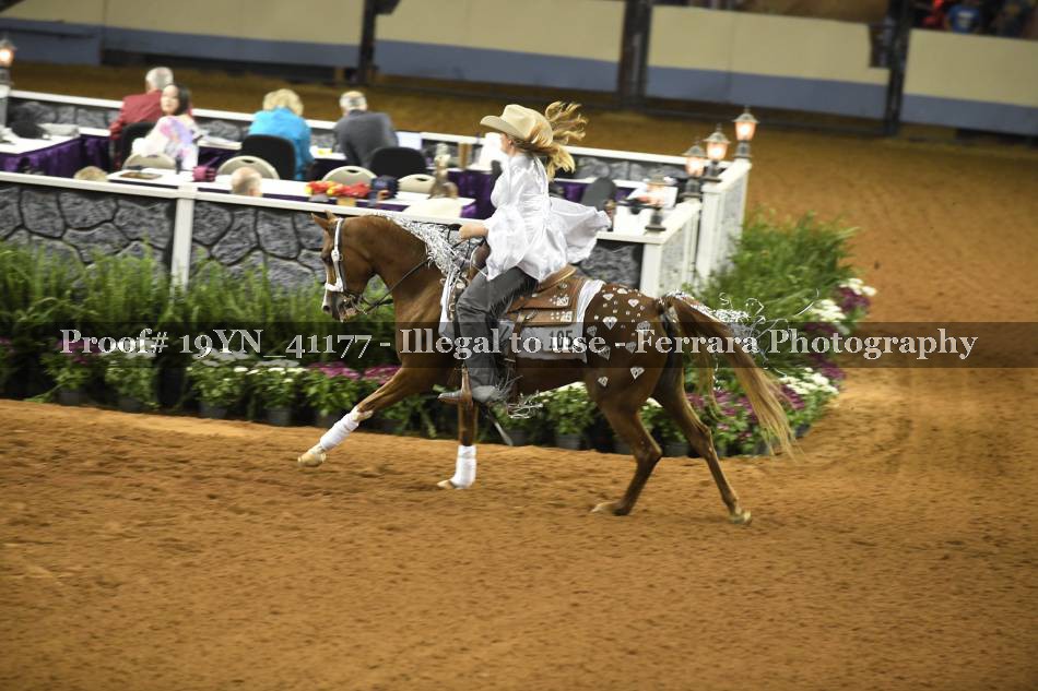 Proof 19YN_41177