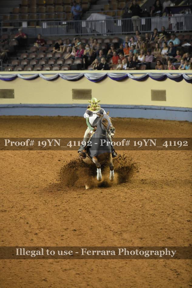 Proof 19YN_41192
