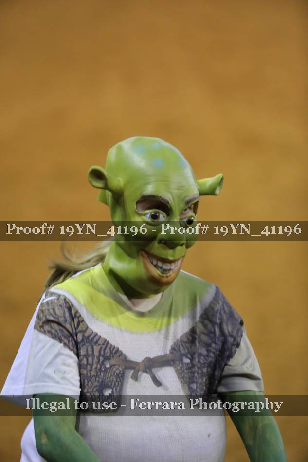 Proof 19YN_41196