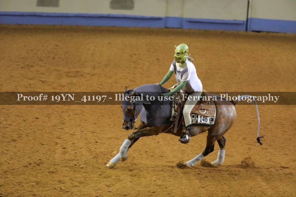 Proof 19YN_41197