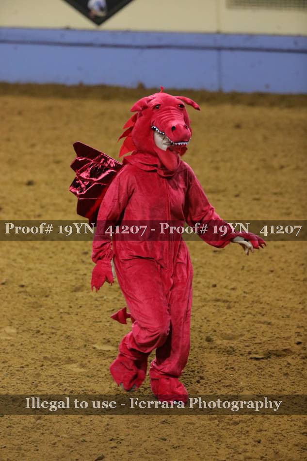 Proof 19YN_41207