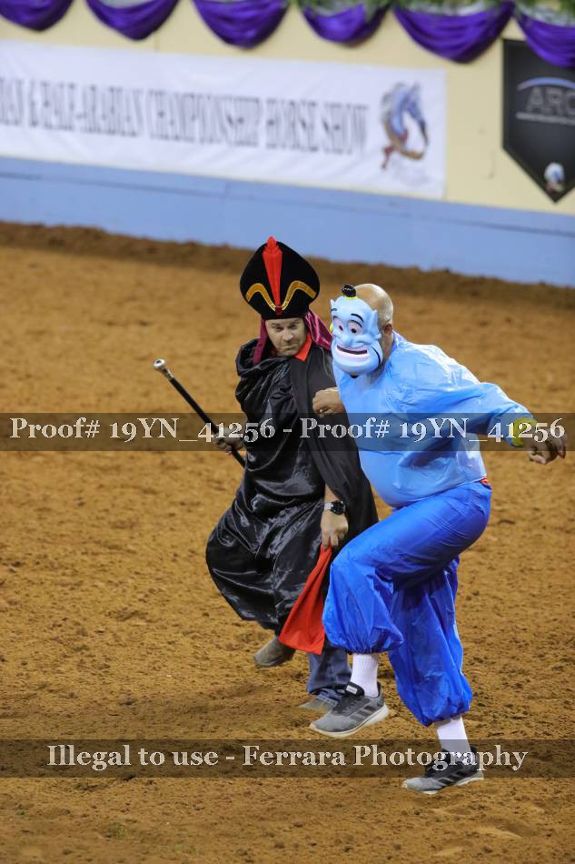 Proof 19YN_41256