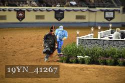 19YN_41267 proof