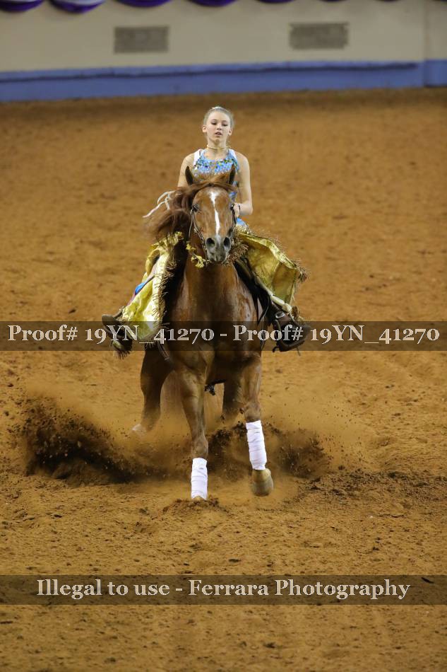 Proof 19YN_41270