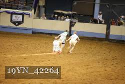 19YN_42264 proof