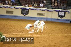 19YN_42277 proof
