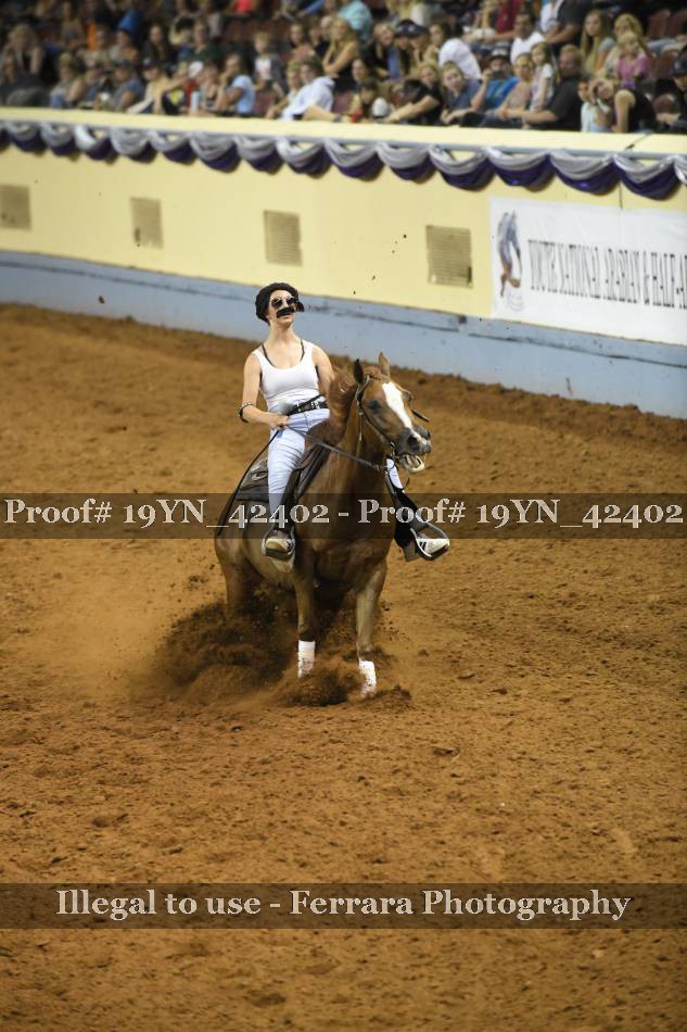 Proof 19YN_42402