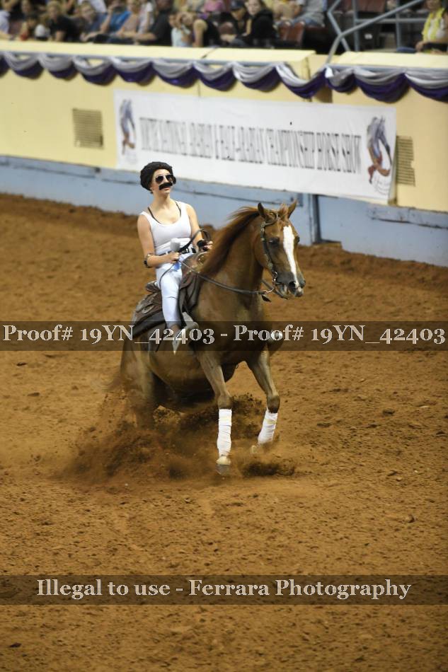 Proof 19YN_42403