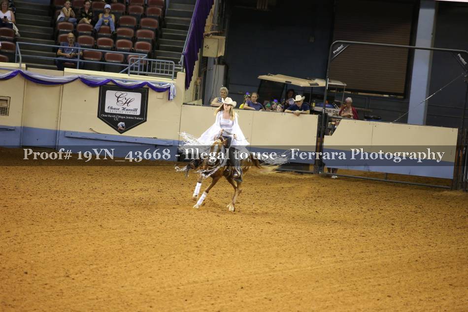 Proof 19YN_43668