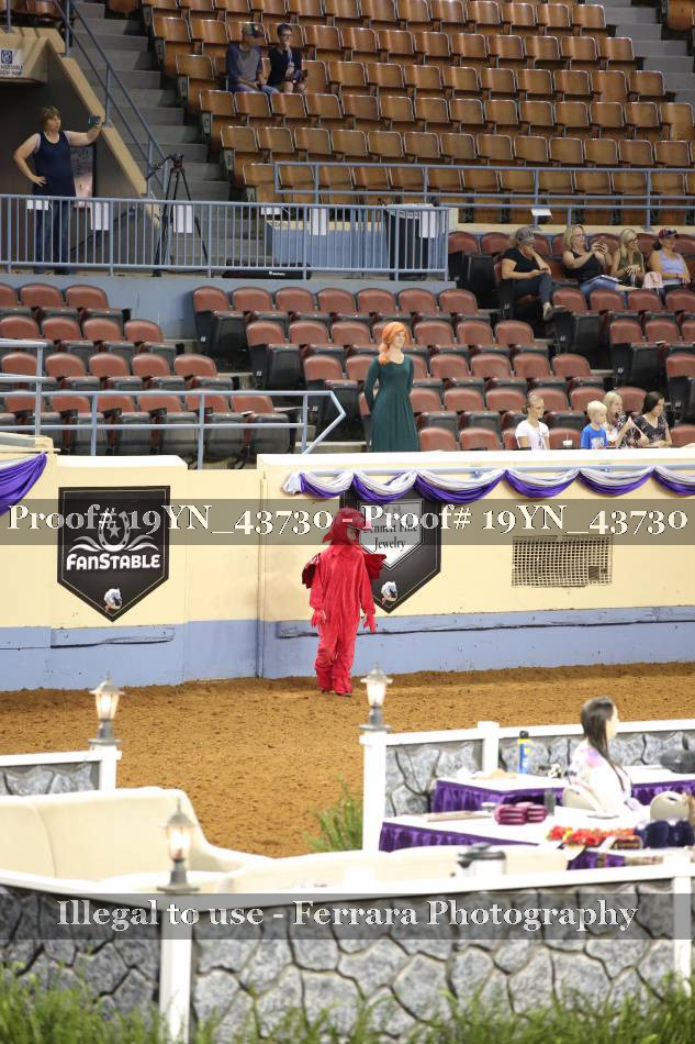 Proof 19YN_43730