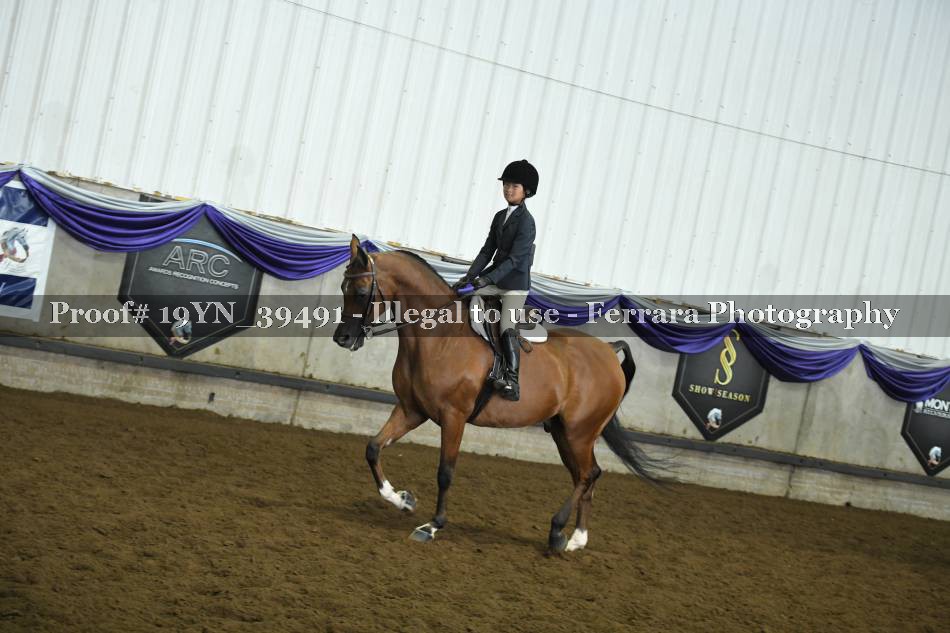 Proof 19YN_39491