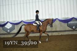 19YN_39500 proof