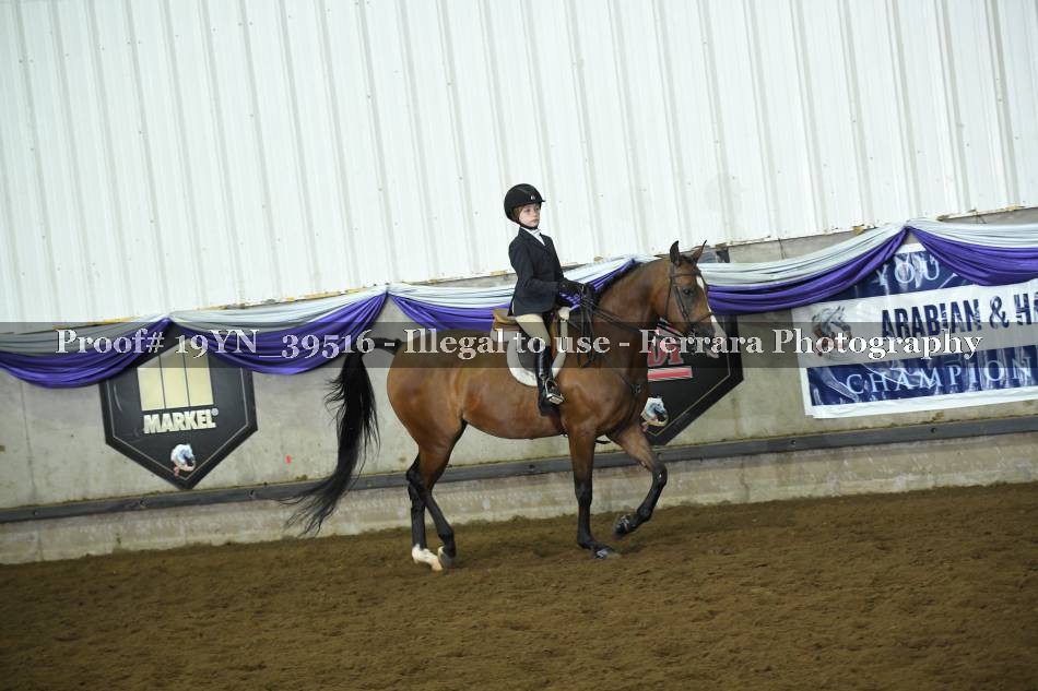 Proof 19YN_39516