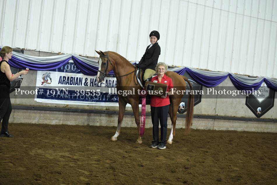 Proof 19YN_39535