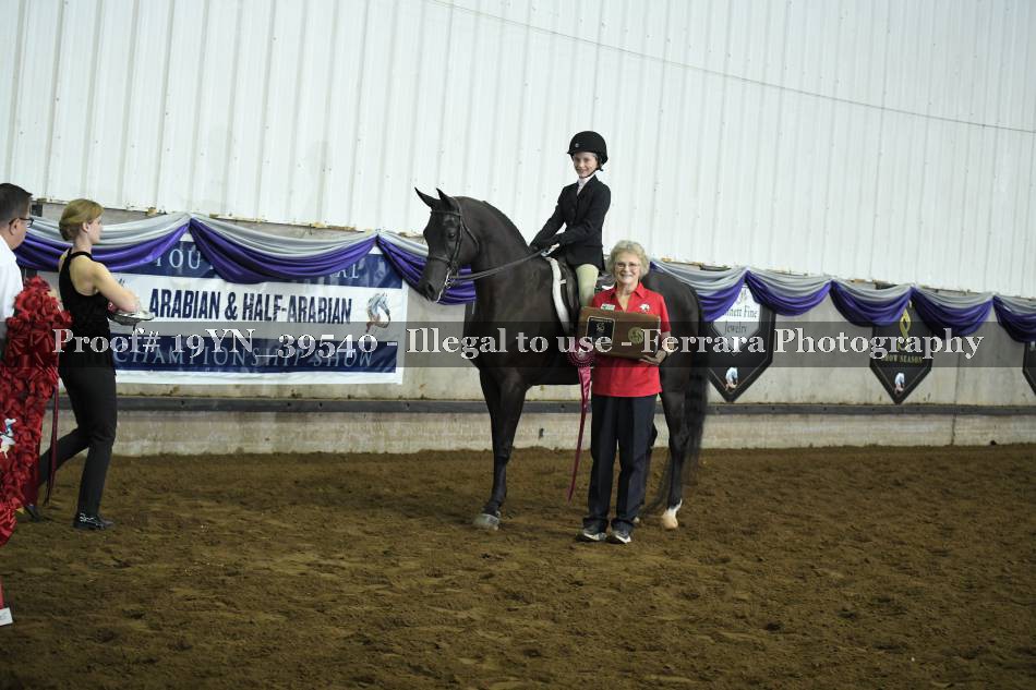 Proof 19YN_39540