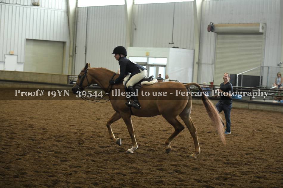 Proof 19YN_39544