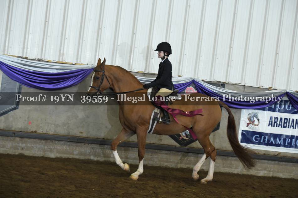 Proof 19YN_39559