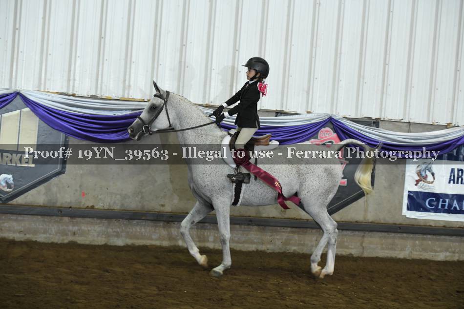 Proof 19YN_39563