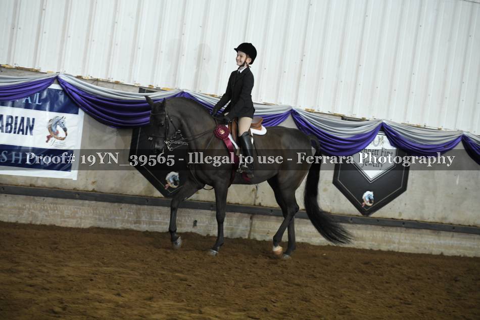 Proof 19YN_39565