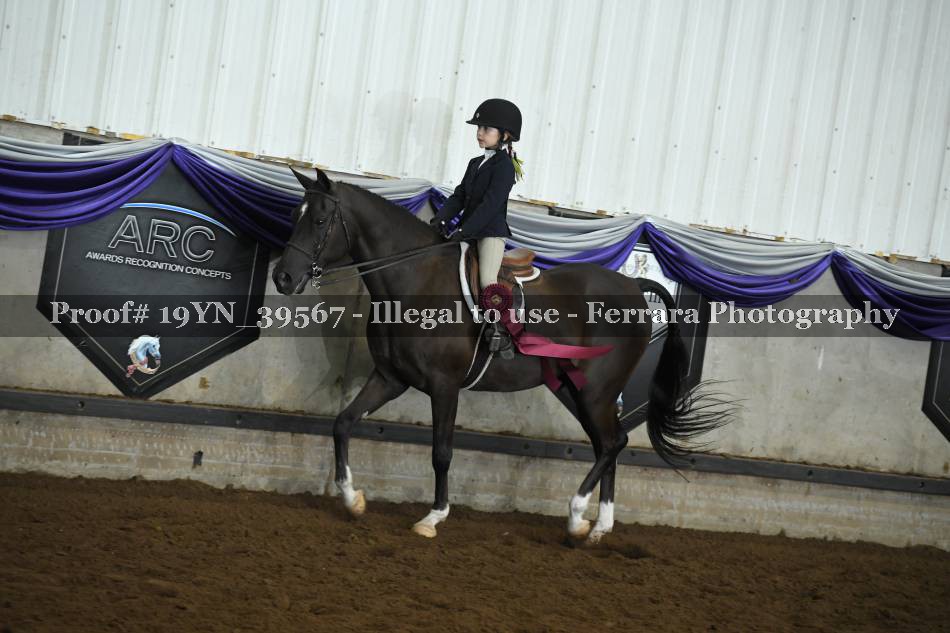 Proof 19YN_39567