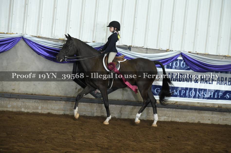 Proof 19YN_39568