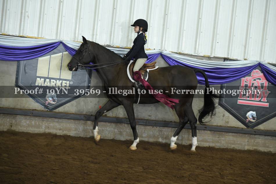 Proof 19YN_39569