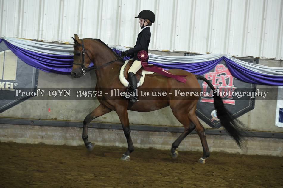 Proof 19YN_39572