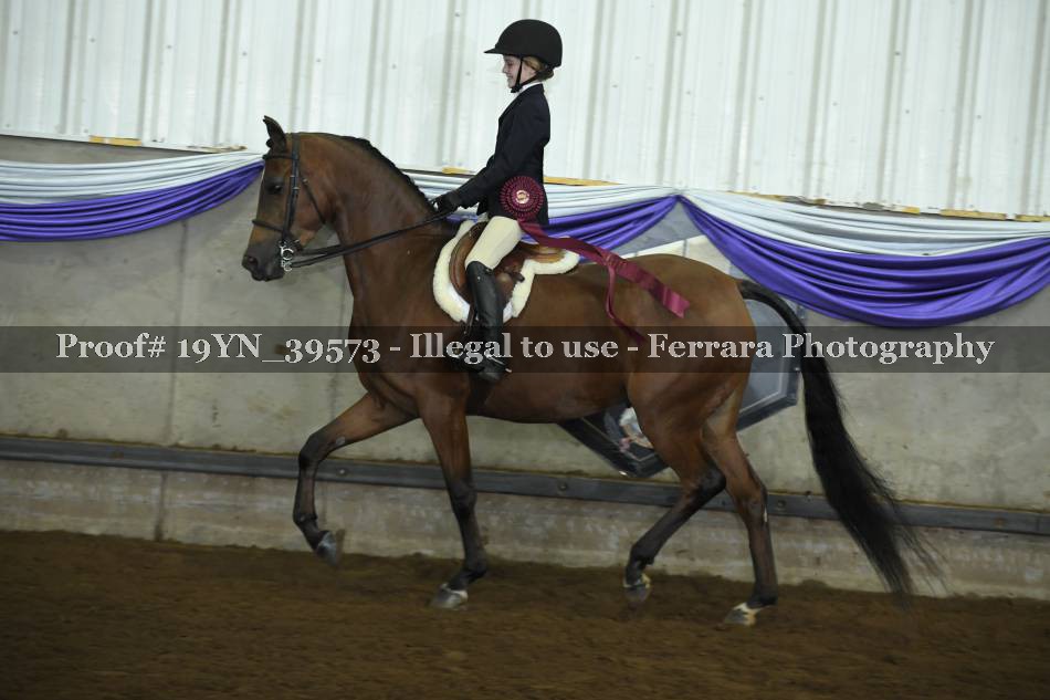 Proof 19YN_39573
