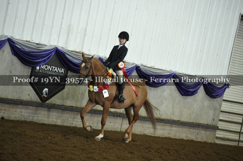Proof 19YN_39574