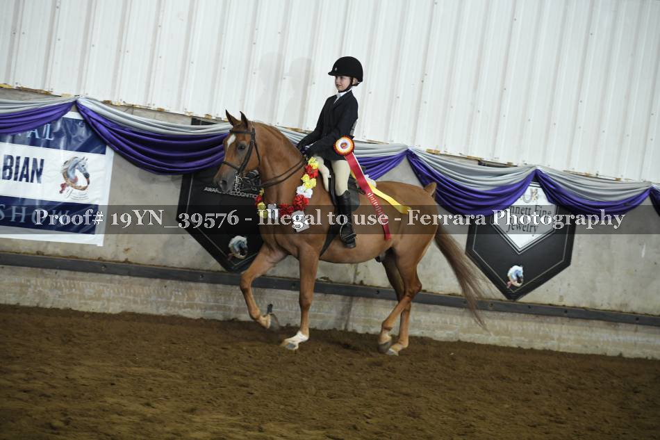 Proof 19YN_39576